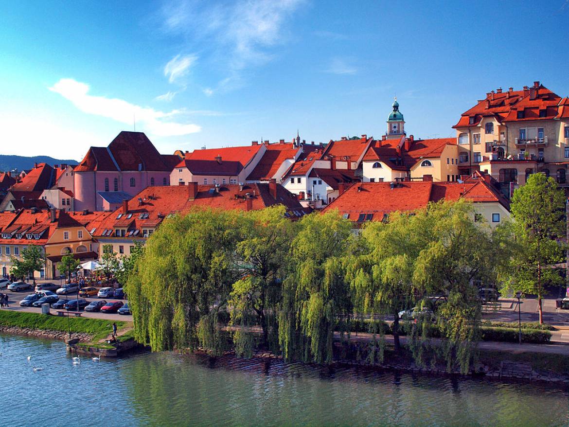 Things to do in Maribor: Discover the Best of Slovenia’s Second City