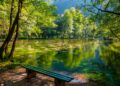 Explore Vrelo Bosne in Sarajevo: A tranquil park with natural springs, perfect for nature walks, picnics, and relaxation. A visitor's paradise