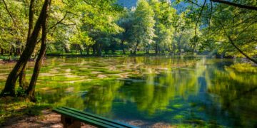 Explore Vrelo Bosne in Sarajevo: A tranquil park with natural springs, perfect for nature walks, picnics, and relaxation. A visitor's paradise