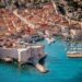 Why You Should Visit Dubrovnik