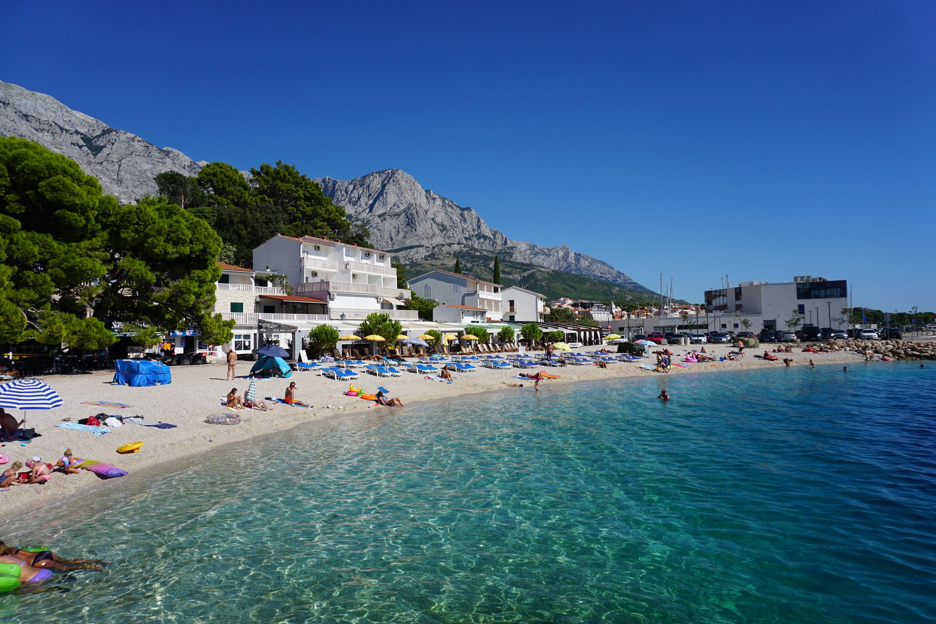 Best Dalmatia Tours & Experiences