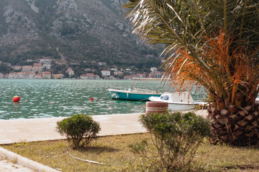 Kotor, Montenegro — Tranquil scene of boats by the bay with palm tree and mountains in the background.