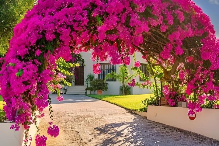Peloponnese, Greece — Best Olympia Tour for Cruise Passengers from Katakolon Port
