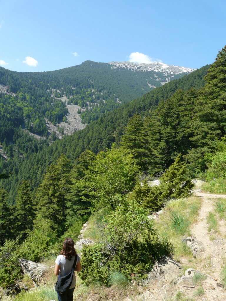Bitola, North Macedonia — Pelister National Park in Bitola, North Macedonia