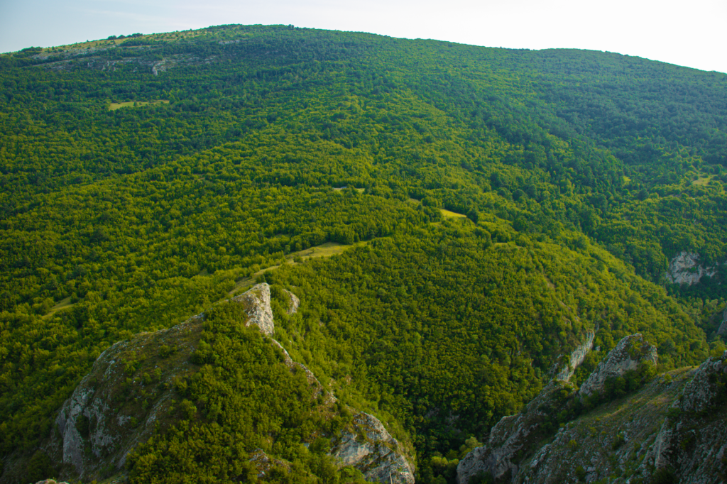Niš, Serbia — Scenic aerial view of verdant rolling hills and dense forest near Niševac, Serbia.