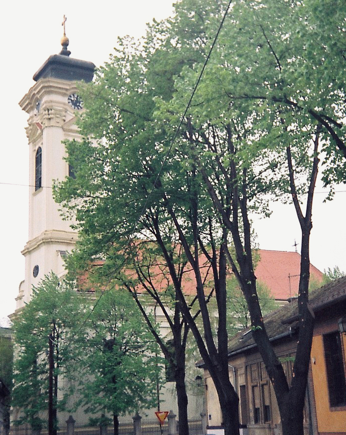 Novi Sad, Serbia — Podbara in Novi Sad, Serbia