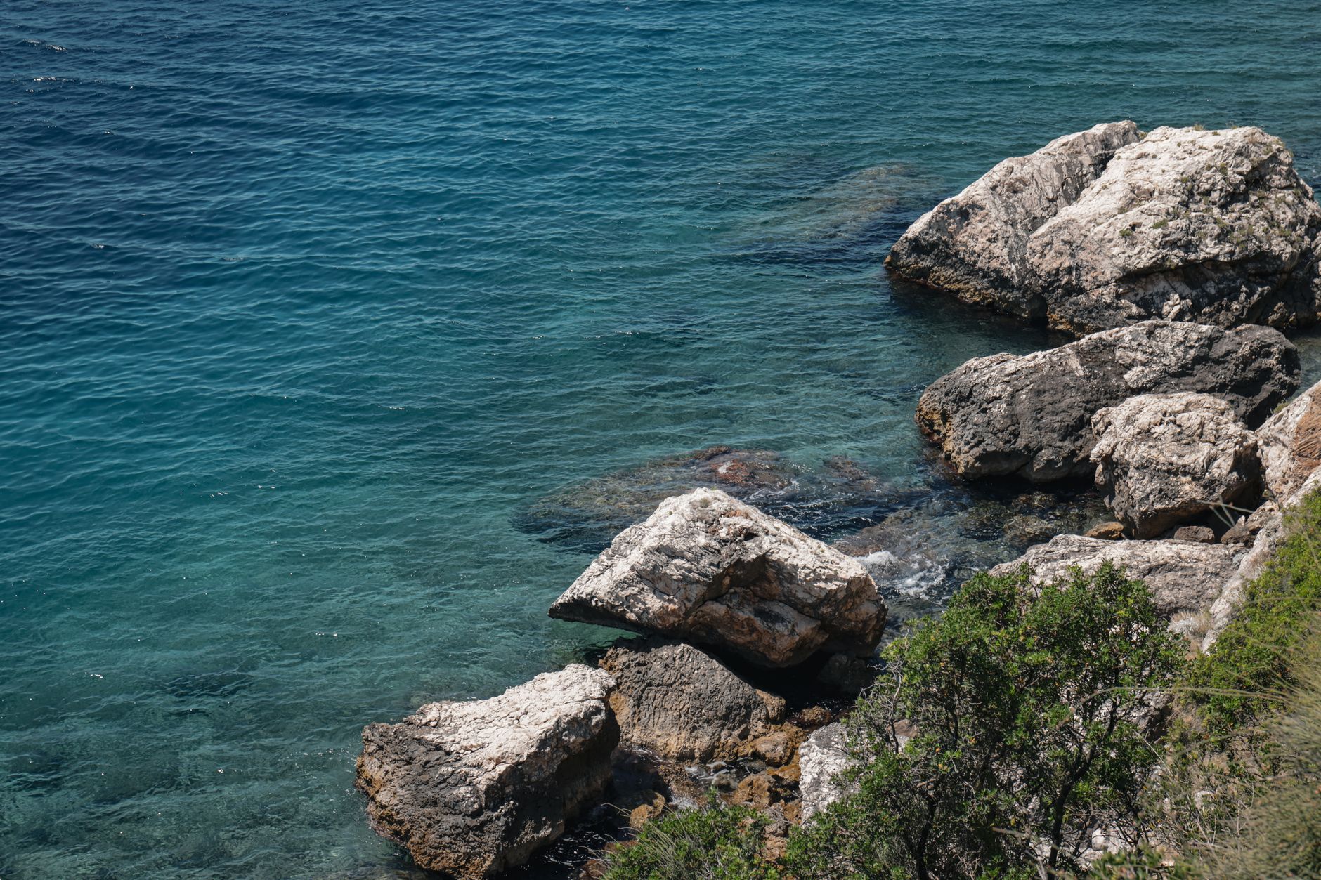 Where to Eat in Split: Local Food Guide