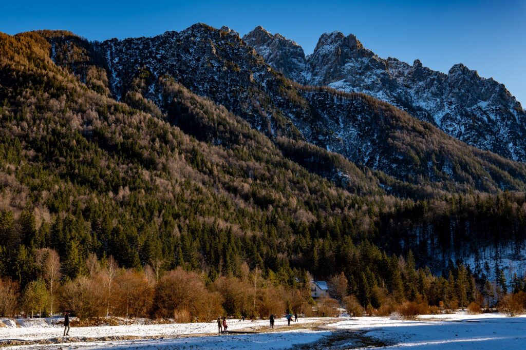 Kranjska Gora, Slovenia — Stunning winter view of Kranjska Gora's mountains and forest.