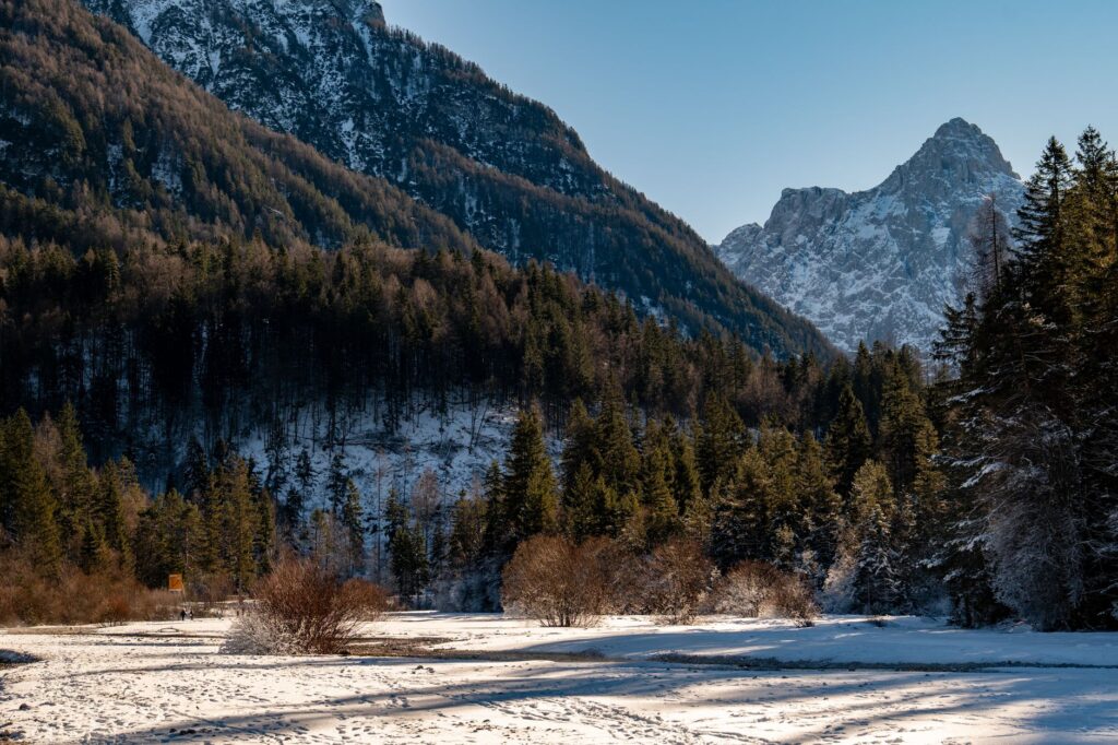 Kranjska Gora, Slovenia — Explore the serene snowy landscape of Kranjska Gora with majestic mountains and forests.
