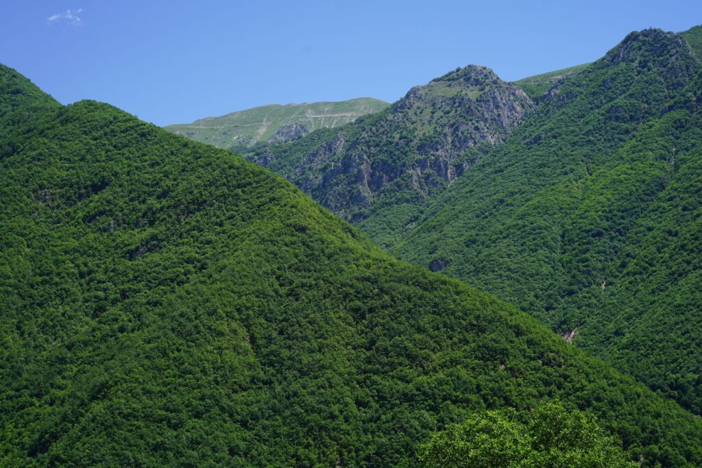 Mavrovo, North Macedonia — Lush green mountains under a clear blue sky in Mavrovo, North Macedonia.