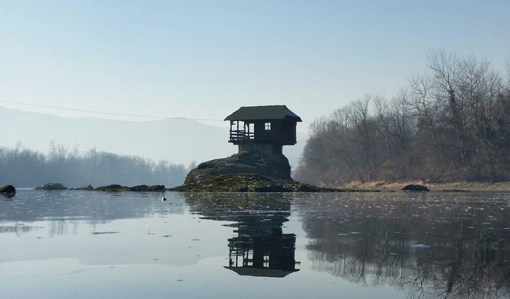 Tara National Park from Belgrade: Can You Visit the Drina Viewpoints Without a Tour?